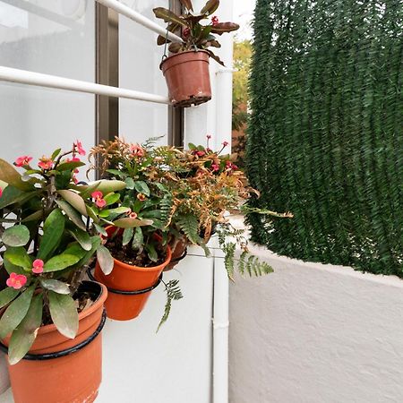 Little House In Center Apartment Almería Exterior photo