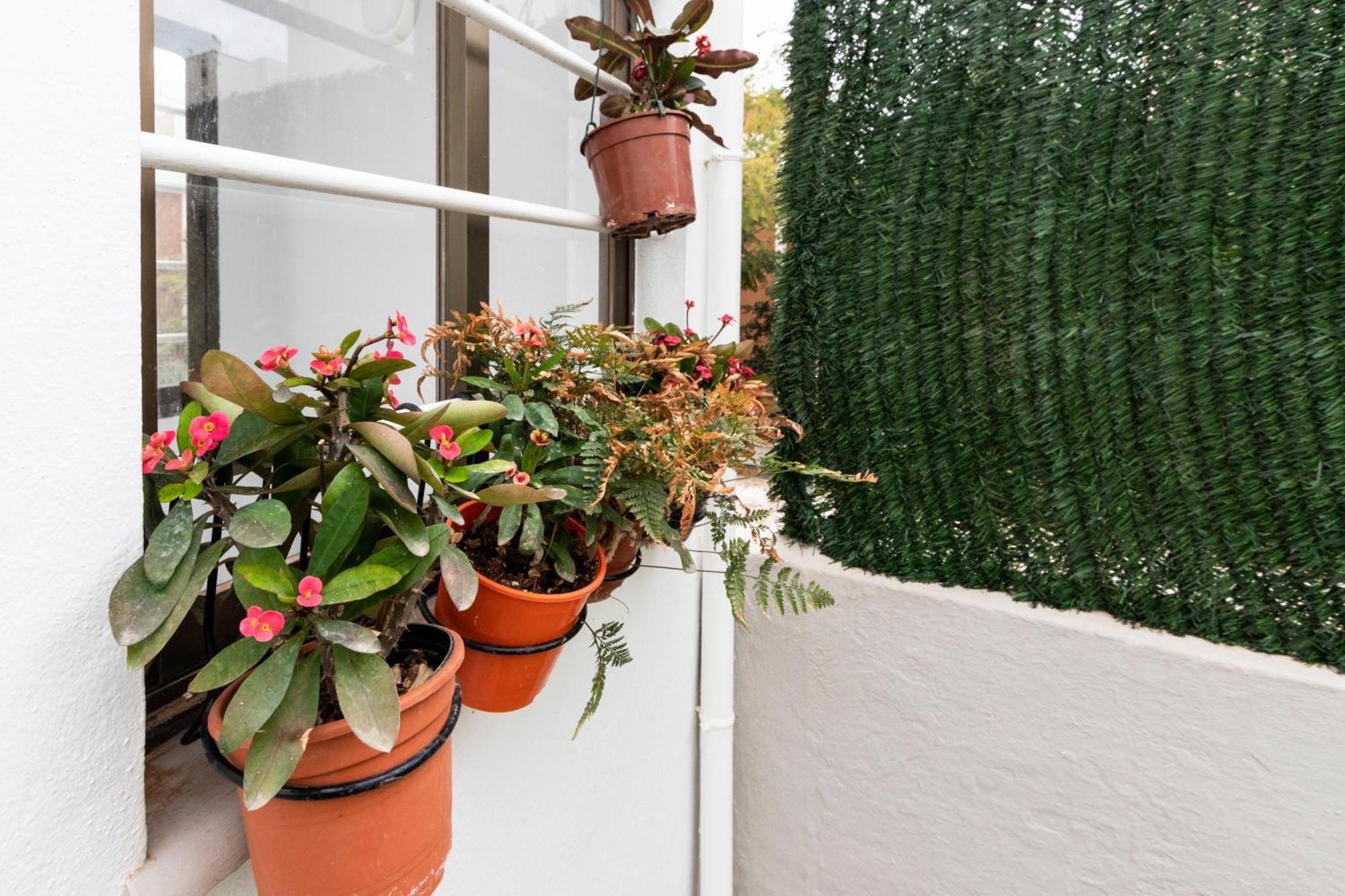 Little House In Center Apartment Almería Exterior photo